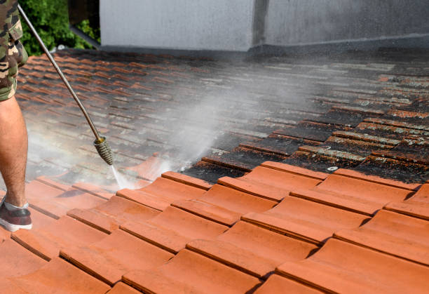 Best Power Washing Near Me  in Gladwin, MI