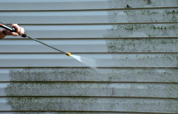 Best Garage Pressure Washing  in Gladwin, MI