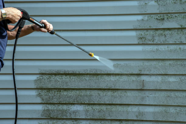 Best Deck Pressure Washing  in Gladwin, MI