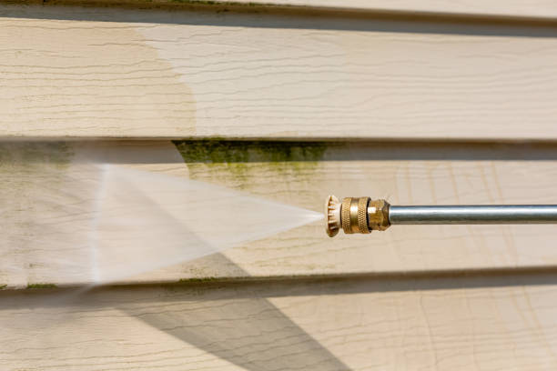 Best Pressure Washing Company Near Me  in Gladwin, MI